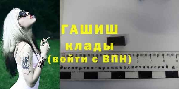 СК Алексин