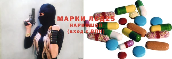 ПСИЛОЦИБИНОВЫЕ ГРИБЫ Рославль